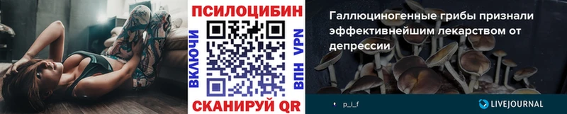 Псилоцибиновые грибы прущие грибы  продажа наркотиков  Будённовск 